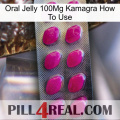 Oral Jelly 100Mg Kamagra How To Use 09